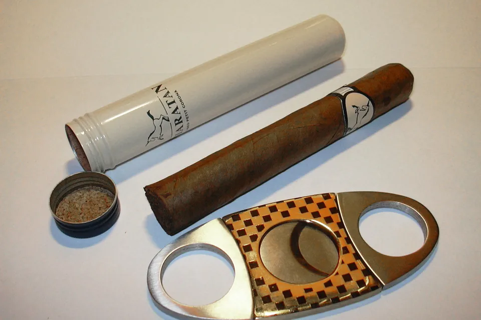 Choosing a Cigar Cutter — double-blade cigar cutter lying beside a cigar and an aluminium travel tube