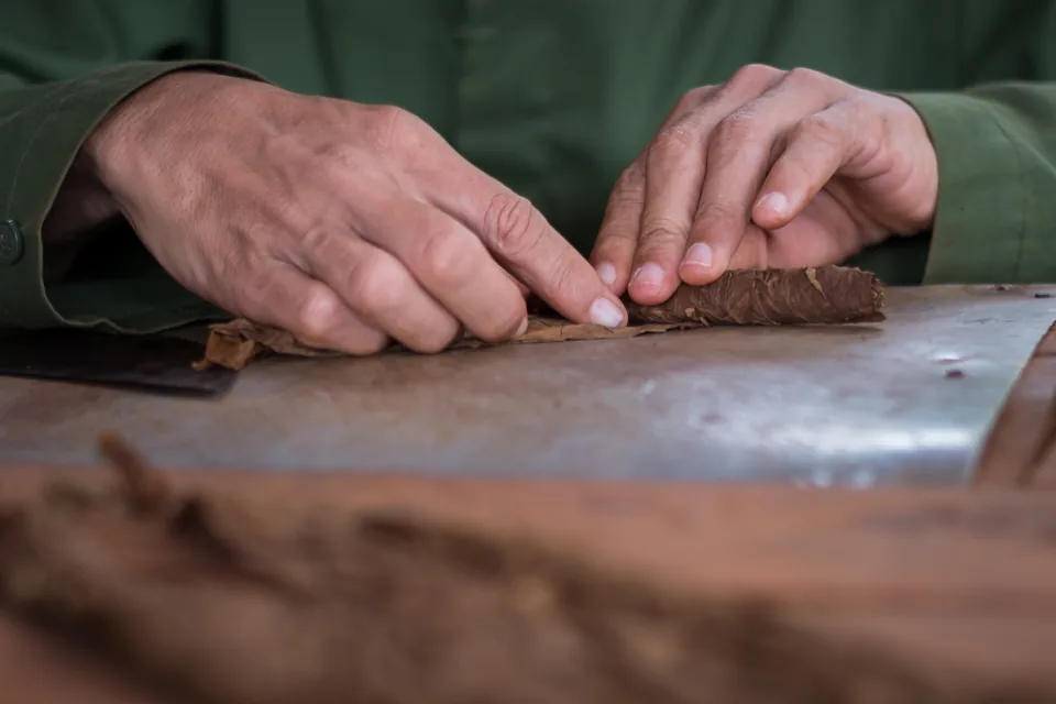 Montecristo Cigar: Brand Profile — close view of a cigar roller's hands shaping a wrapper leaf on a workbench