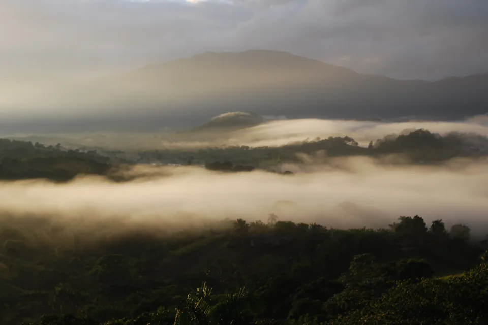 Arturo Fuente Cigars: Brand Profile — mist settling over forested valleys of the Cordillera Central, Dominican Republic